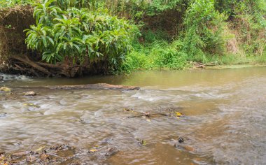 Gündüz vakti nehir ve kayanın uzun pozlama görüntüsü.