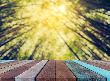 Ahşap masa, yeşil bambu ormanı ve çatısının klasik ton görüntüsü.