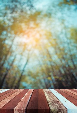 Ahşap masa, yeşil bambu ormanı ve çatısının klasik ton görüntüsü.