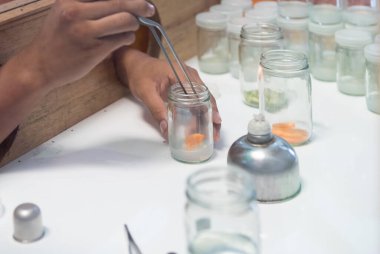 Arka plan için laboratuvar kaputunda sebze dokusu kültürü görüntüsü.