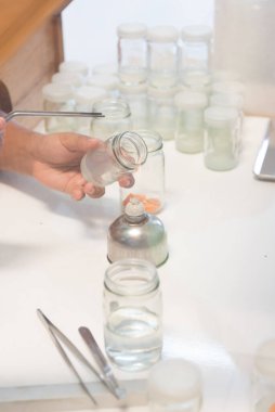 Arka plan için laboratuvar kaputunda sebze dokusu kültürü görüntüsü.