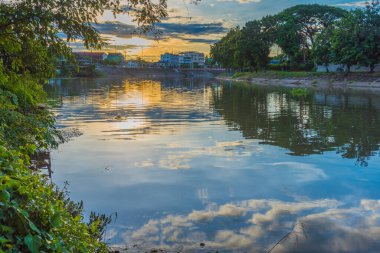 Gün batımında bulutlu güzel bir gökyüzü olan ağaç görüntüsü
