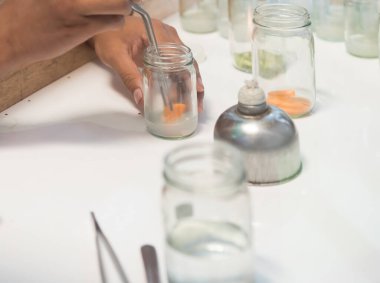 Arka plan için laboratuvar kaputunda sebze dokusu kültürü görüntüsü.