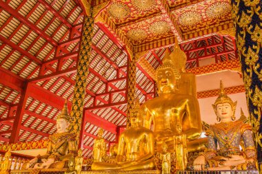 Wat Suan Dok Tapınağı 'ndaki altın Buda heykeli, Chiang Mai, Tayland