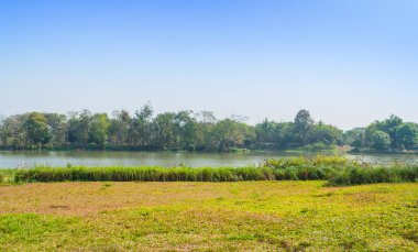 Arkaplan için çim alanı ve nehrin gündüz saatindeki görüntüsü.