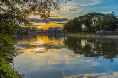 Ağaçların göldeki yansıması, yeşil park. gün batımı.