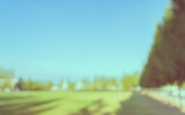 Arka plan için bulanık çimen alanı ve mavi gökyüzünün klasik ton görüntüsü.