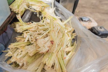 image of sugarcane bagasse left on the ground after make juice.