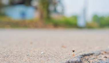minifigure doll idea image of runner with blur beautiful asphalt road on on day time in background.