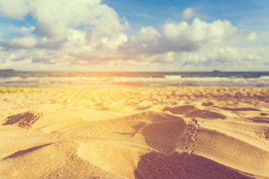 yolculuk fikir kavramı görüntü mini gezgin bebek ve deniz. (seçici odak mini bebek)