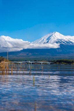 Fuji Dağı ve Kawaguchi Gölü 'nün akşam vakti Japonya' daki Kogamasao Anıt Parkı manzarası bulutlu..