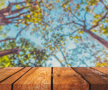 Ahşap tablo ve arkaplan kullanımı için güneşi olan soyut yeşil ağaç Bokeh 'in bulanık görüntüsü.