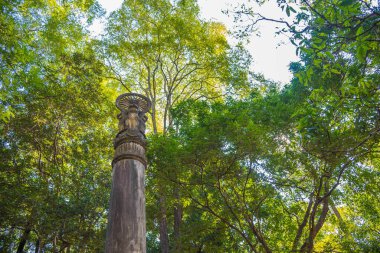 Wat Umong Suan Puthatham ormanındaki dharmachakra, Tayland, Chiang Mai tapınağı..