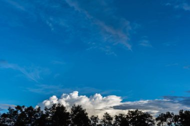 Arkaplanda ağaç ve günbatımı görüntüsü.