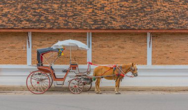 Araç, Tayland 'ın Lampang eyaletinde özel yolcu için tasarlandı. .