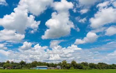 Arkaplan kullanımı için pirinç tarlası ve bulutlu mavi gökyüzü görüntüsü .