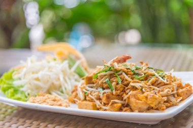 Tayland usulü sıcak ve tatlı erişte görüntüsü (Pad Thai) bulanık yeşil bahçeli.