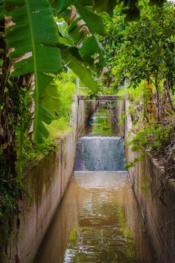 Yavaş su akışı olan lağım suyu drenajının gündüz görüntüsü.