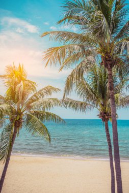 Güneşli bir günde Chakphong, Pae-Klang Yolu, Klaeng Bölgesi, Rayong Tayland 'daki Mae Pim Plajı' nın klasik ton görüntüsü. (dikey)