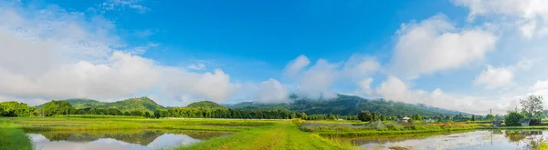 Panorama Obraz Krásy Slunečný Den Rýžovém Poli Oblohou Horami Pozadí — Stock fotografie