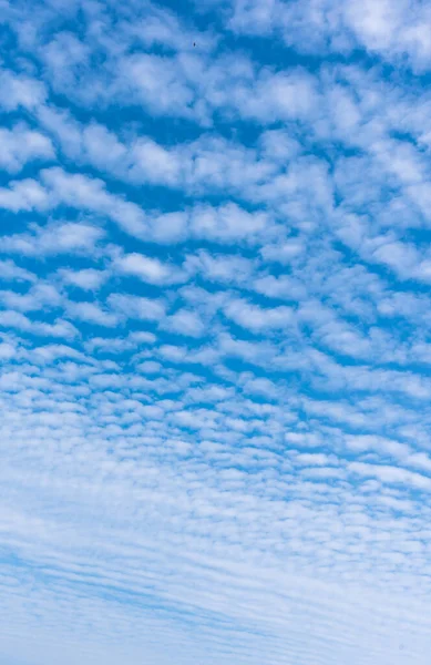 Image Blue Sky White Cloud Day Time Background Usage Vertical — Stock Photo, Image