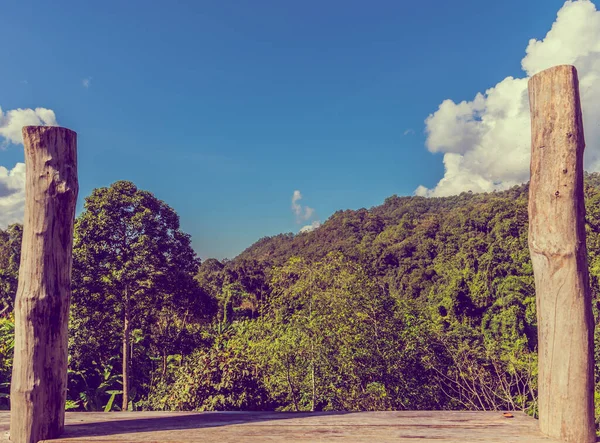 Imagen Tono Vintage Mesa Madera Bosque Verde Tropical Cielo Nublado — Foto de Stock