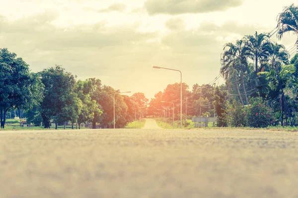 绿色花园中的道路图像 供背景使用 — 图库照片