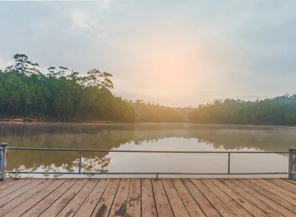 泰国清迈 潘瓦特 陈松林 的湖松林图片 — 图库照片