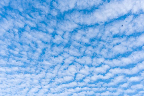 Arkaplan Kullanımı Için Mavi Gökyüzü Beyaz Bulutun Gündüz Görüntüsü — Stok fotoğraf