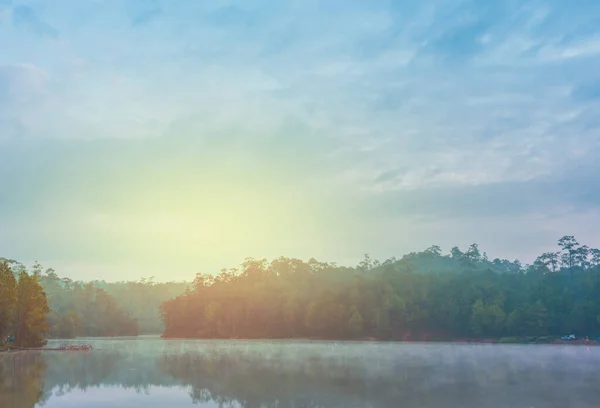バーン ワット チャン パイン フォレスト の朝の時間における湖と松林のイメージ アンフォー カラヤニワタナ チェンマイ — ストック写真