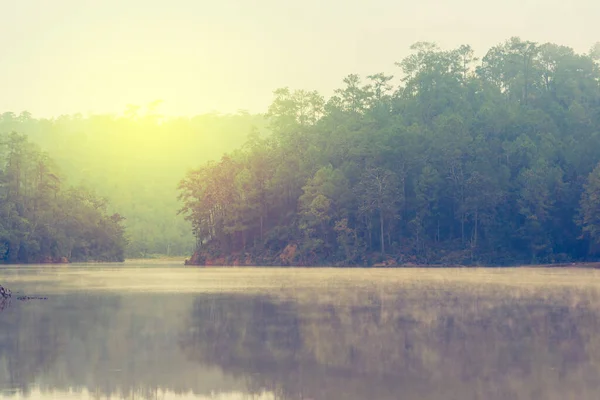 Bild Sjö Och Tallskog Morgonen Vid Ban Wat Chan Pine — Stockfoto