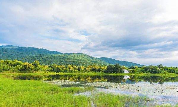 Image Lotus Pond Mountain Background — Stock Photo, Image