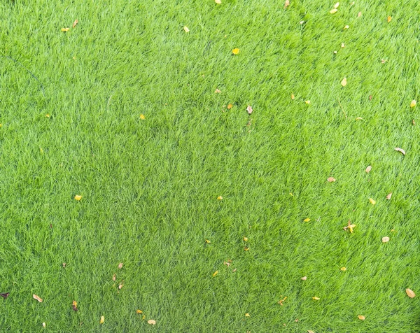 Image Artificial Grass Texture Taken Top View — Stock Photo, Image