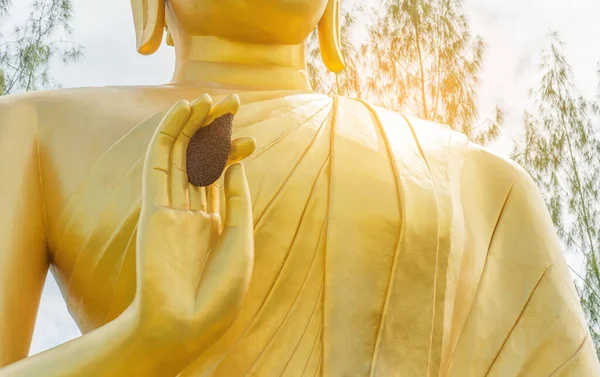 Image Nid Abeille Sur Main Statue Bouddha — Photo