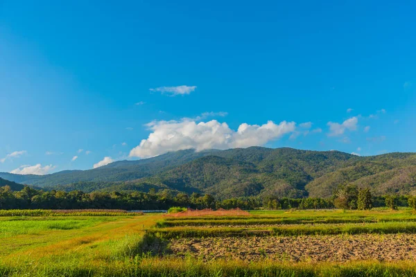 泰国清迈Doi Suthep风景秀丽的全景照片 背景为蓝天 青山的农田 — 图库照片