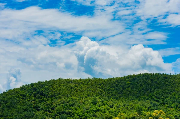 Tropical Green Forest Cloudy Sky Day Time — Stock Photo, Image