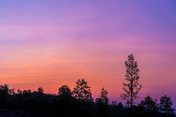 Σιλουέτα Τραβηγμένη Εικόνα Του Ουρανού Δέντρο Και Ηλιοβασίλεμα Στο Παρασκήνιο — Φωτογραφία Αρχείου