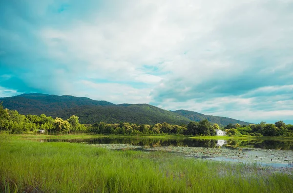 Vintage Tone Image Lotus Pond Mountain Background — Stock Photo, Image