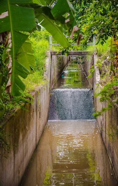 Beeld Van Rioolwaterafvoer Met Langzame Waterdoorstroming Overdag Verticaal — Stockfoto