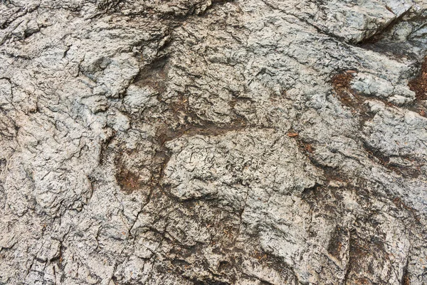 Imagen Textura Roca Granito Con Hoja Seca Del Área Cascada — Foto de Stock