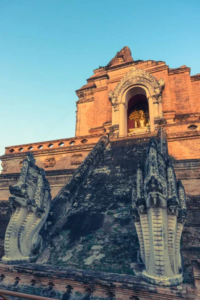 Wat Chedi Luang Chiang Mai Tayland Daki Tarihi Budist Tapınağının — Stok fotoğraf