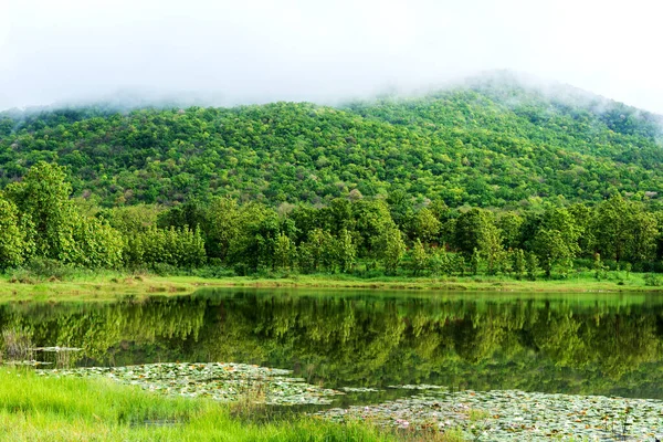 Εικόνα Της Ομορφιάς Ηλιόλουστη Μέρα Στη Λίμνη Πράσινο Βουνό Μετά — Φωτογραφία Αρχείου