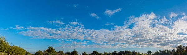 Silueta Panorama Snímek Strom Západ Slunce Oblohy Pozadí — Stock fotografie