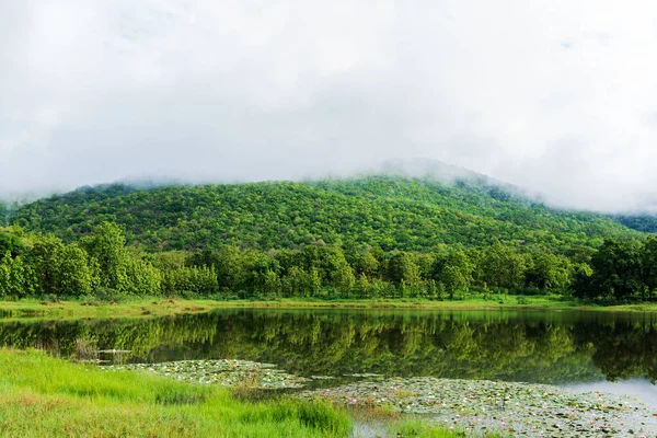 春雨过后 湖面上的美丽 阳光明媚 高山青翠 — 图库照片