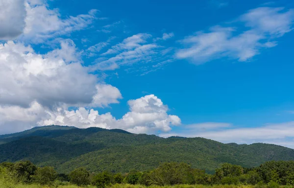 Obraz Tropického Zeleného Horského Lesa Oblačné Oblohy Denní Čas — Stock fotografie