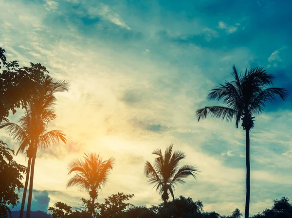 Vintage Tone Silhouette Shot Coconut Tree Sky Background — Stock Photo, Image