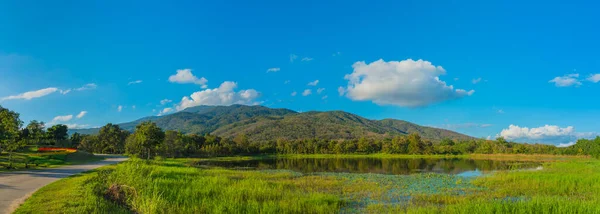 荷花在池塘和高山背景中的全景图像 — 图库照片