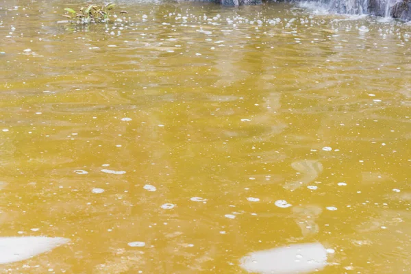 image of waste water pond with scum on top of water