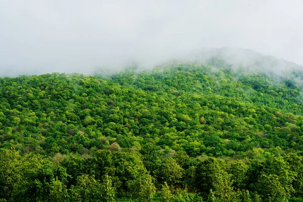 热带青山森林和多云天空的图像 — 图库照片