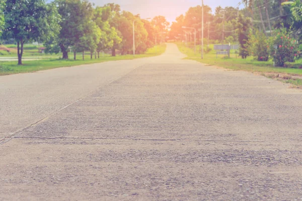 绿色花园中的道路图像 供背景使用 — 图库照片